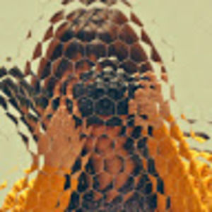 Meet your Posher, Vi